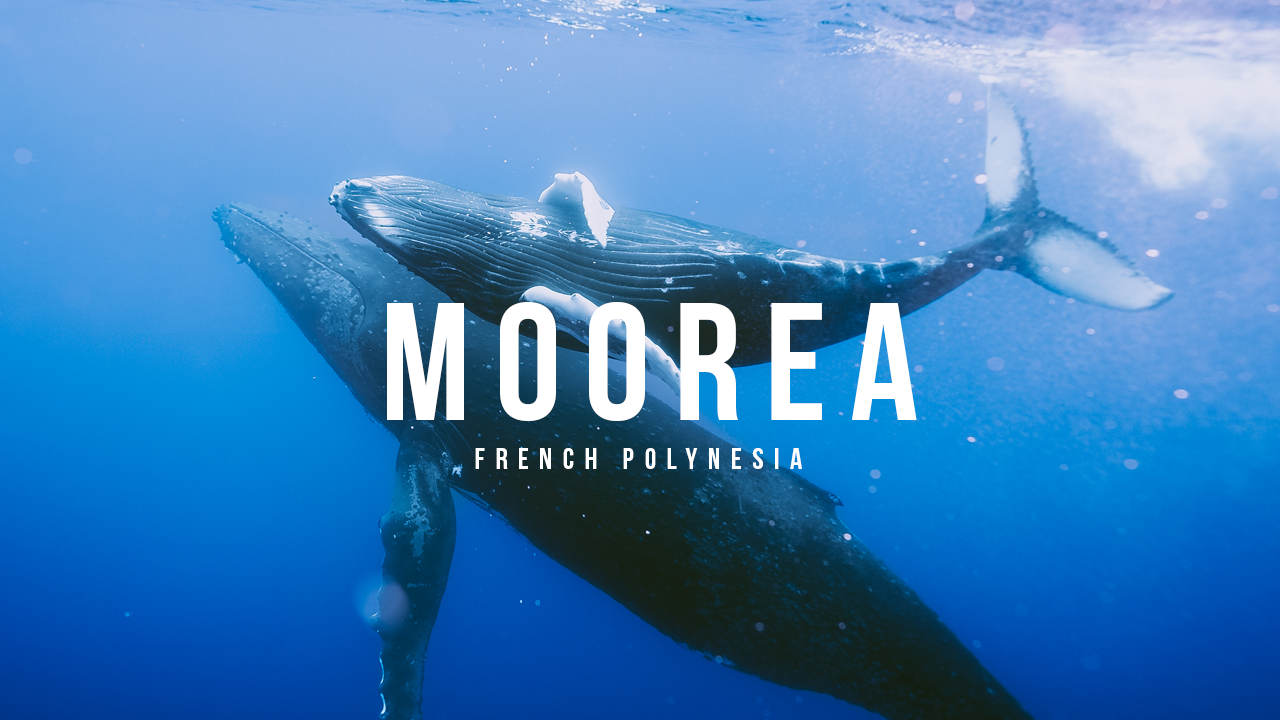 French Polynesia